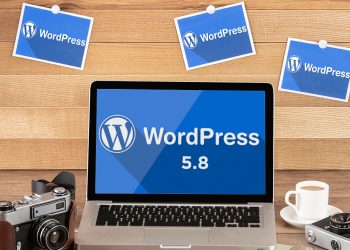 WordPress 5-8, What is new in the WordPress Update